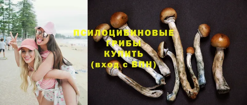 МЕГА зеркало  Берёзовка  Псилоцибиновые грибы Magic Shrooms 